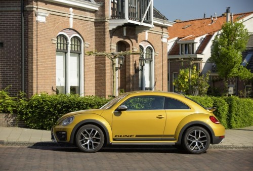 Nieuwe beetle Dune