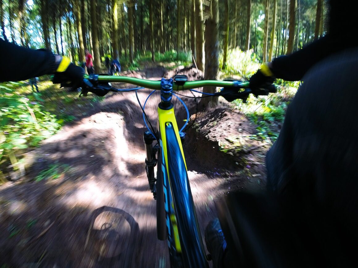 waar kun je mountainbiken in Nederland?